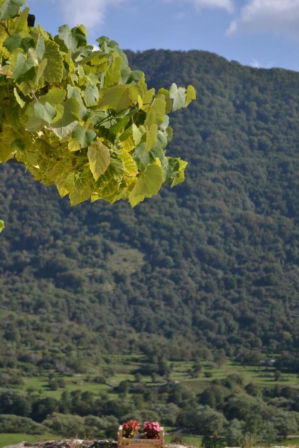 B&B La Casa Vecchia Gallo  Kültér fotó